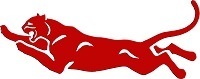 Magnolia Panther Football